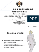 Anatomia i Biomekhanika ShOP Prikhodko