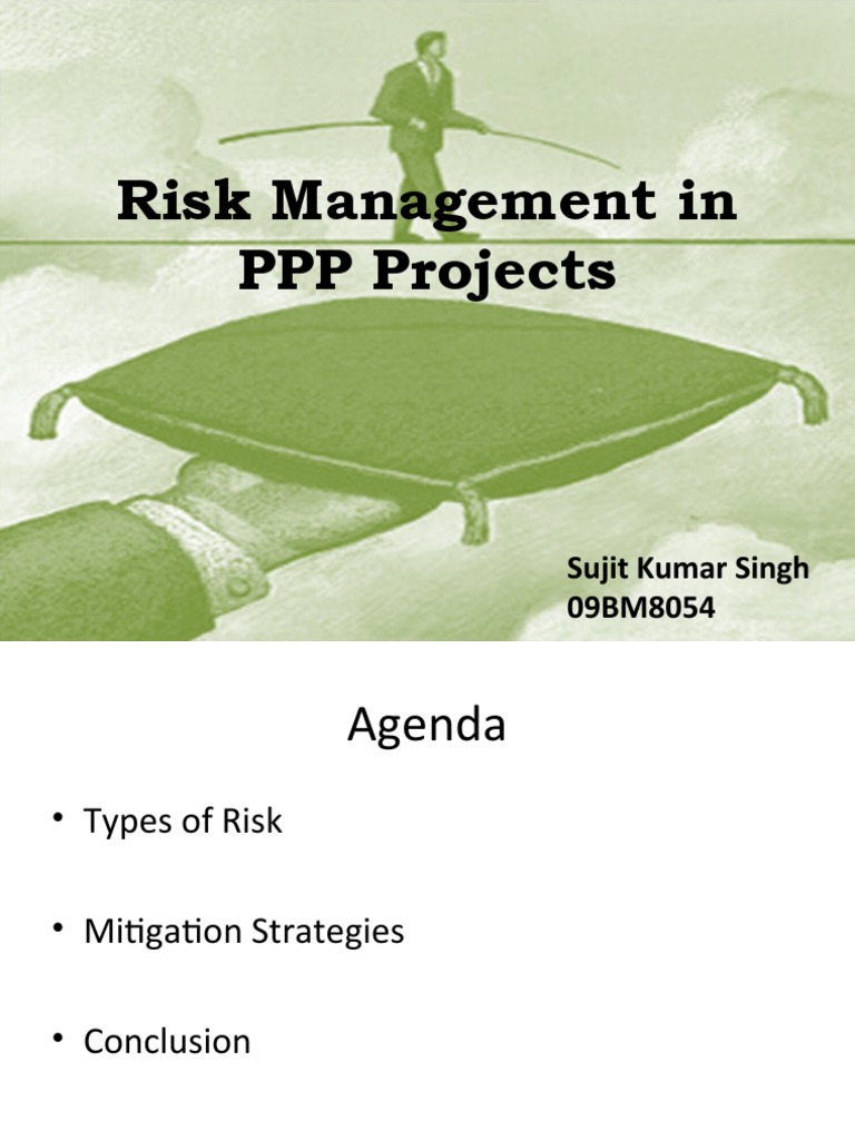 Risk Management Strategies in PPP Projects | PDF | Public–Private ...