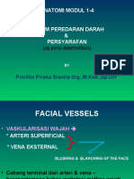 Vaskularisasi & Persyarafan