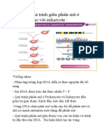 So Sánh Phiên Mã Prokaryote Và Eukaryote