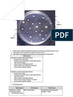 Hasil Pengamatan Pembuatan Kultur Murni - Cahya Asri - Prak Mikro