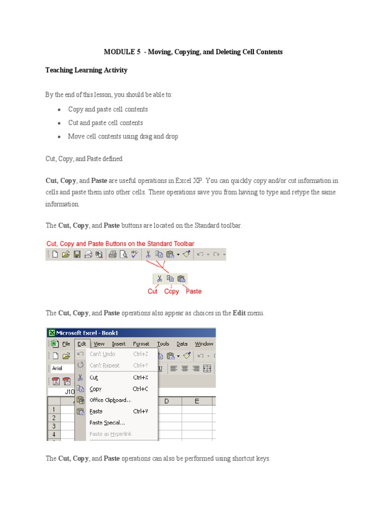 Image Result For Excel Xp Moving Copying And Deleting Cell Contents