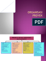 Organisasi Proyek