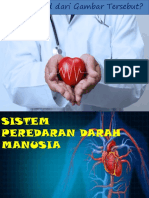 Sistem Peredaran Darah