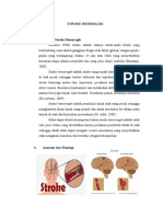 Laporan Pendahuluan Stroke Hemoragik