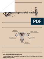 Organ Reproduksi Wanita