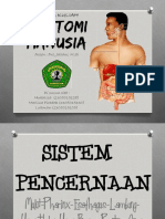 Sistem Pencernaan Manusia