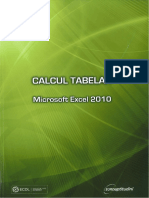 Calcul Tabelar Microsoft Excel 2010