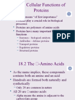 Importance of Proteins 2
