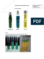 Clarence Theodosius_2443019212_Latihan Penentuan MPN Coliform