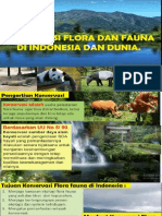 Konservasi Flora Dan Fauna Di Indonesia Dan Dunia