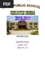 PDF Document