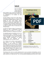 Paranthropus Boisei