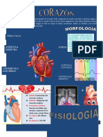 Infografia Corazon