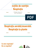 Funcțiile de Nutriție. Respirația