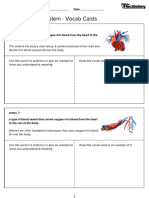 Circulatory System Vocab Cards