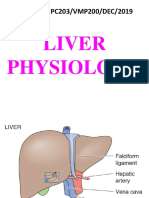 Liver Physiology