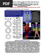 Centre-Energetice Subtile - Chakra