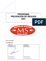 Programa de Prevencion Original Bladimir Saldias