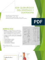 Patología quirúrgica del esófago y diafragma