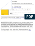 Foraging Ecology and Behaviour of The Ponerine Ant Ectatomma Opaciventre Roger in A Brazilian