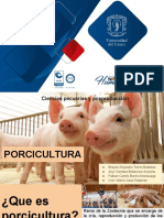 Producción porcina