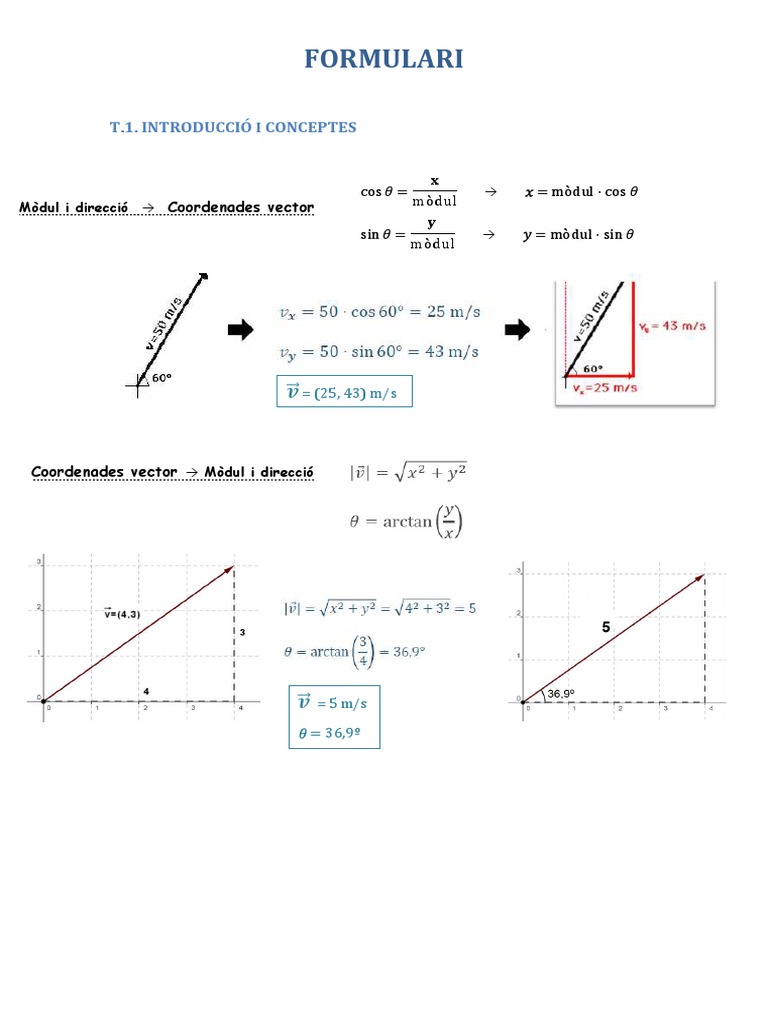 Formular I | PDF