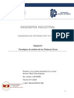 ENSAYO Paradigma de Análisis de Los Sistemas Duros