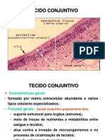 Tecido Conjuntivo Fibras