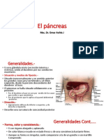 El Pancreas Corregido (1)