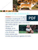 ALBUN DE ANIMALES