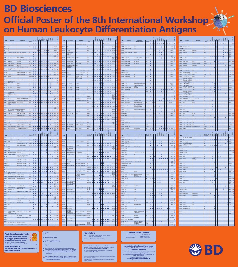 Human CD Chart Monocyte Immune System