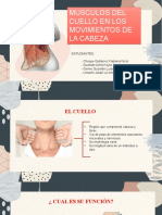 Musculos Del Cuello (1) .PPTXN
