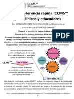 Guía rápida ICCMS (1)