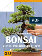 Bonsai Anzucht