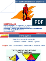 Teoria Do Fogo Rogério Gago - 2018