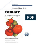 34490527 Amelioration de La Tomate