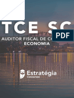 E Book Auditor Economia TCE SC 1