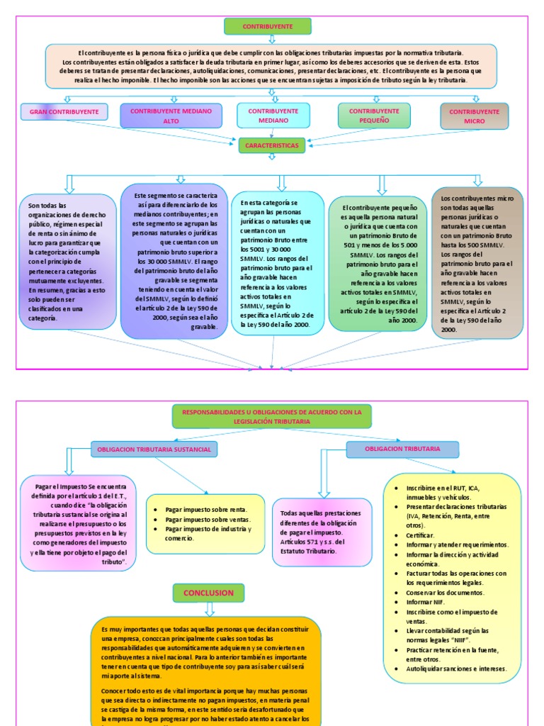 Tipos de Contribuyentes | PDF | Impuestos | Contribuyente