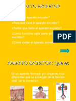 Aparato excretor: función, partes y cuidados