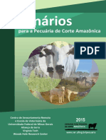 relatorio_cenarios_para_pecuaria_corte_amazonica