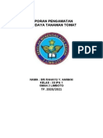 Laporan Penanaman Tomat Ayu Hamani Kls Xii Ipa 1