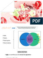Sobreviviendo A La Sepsis