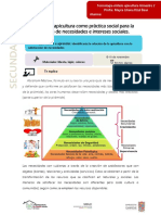 Ficha 1 - T2 - APICULTURA 2°