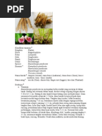 Download temu kunci ok by Clara Herlina SN53961775 doc pdf