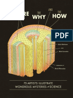 The Where The Why and The How