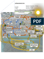 Module 1.3 Concept Map on Biogeochemical Cycles