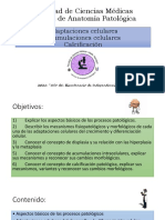 Sem 2 Adaptaciones y Acumulaciones I Sem Med 2021