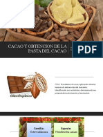 Cacao y Obtencion de La Pasta de Cacao