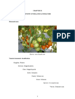 Tomato Literature Review on Varieties, Diseases & Ripening